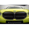 CALANDRE - GRILLE AVANT EN FIBRE DE CARBONE BMW 1 F40 M-PACK- M135I - MAXTONDESIGN - AUTODC